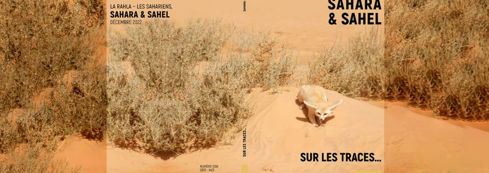 Sahara & Sahel (Le Saharien)
