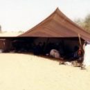 Sébastien Boulay : « La tente maure est l’emblème de l’identité bédouine »